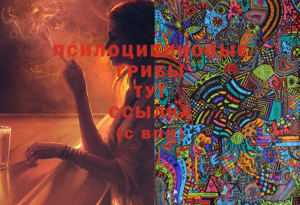молекула духа Баксан